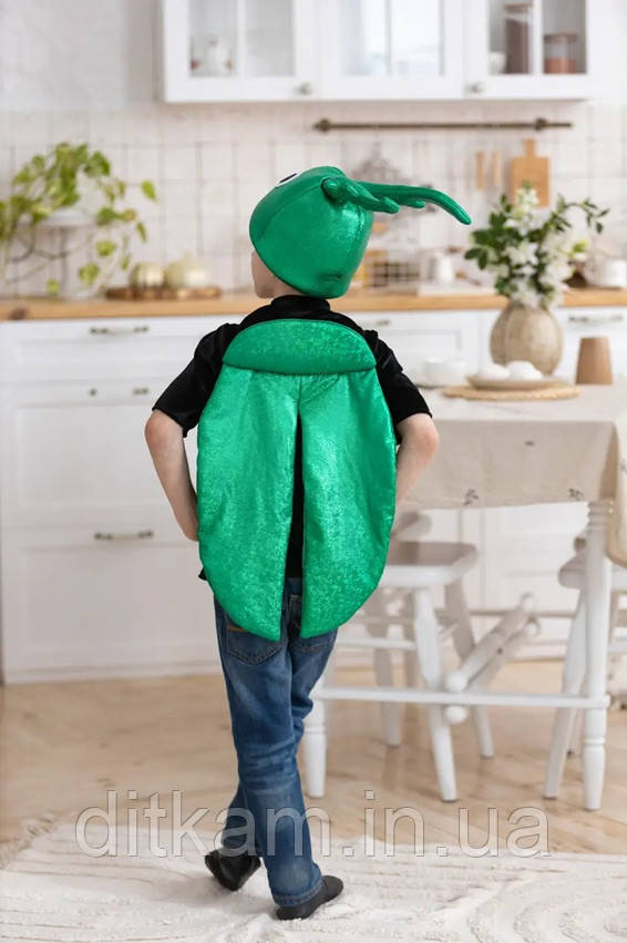 Дитячий карнавальний костюм Хрущ, фото 1