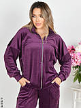 4110-11 Спортивний костюм жіночий на блискавці велюр прямі штани норма (3 од: 42,44,46), фото 3