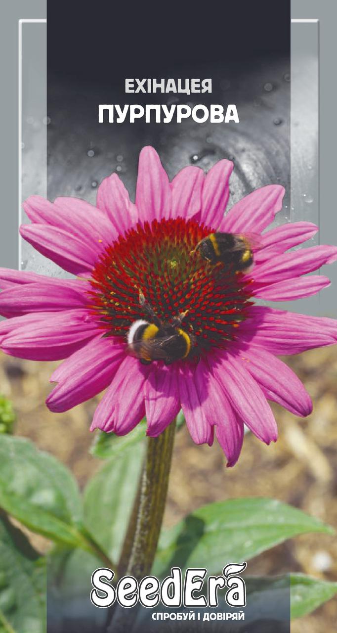 Ехінацея Пурпурова 0,5 г Seedera, фото 1