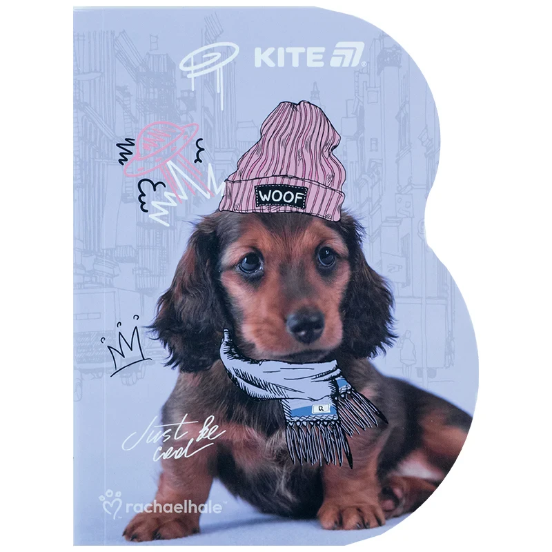 Блокнот Kite Rachael Hale R25-223, А6, 60 аркушів, клітинка, фото 1