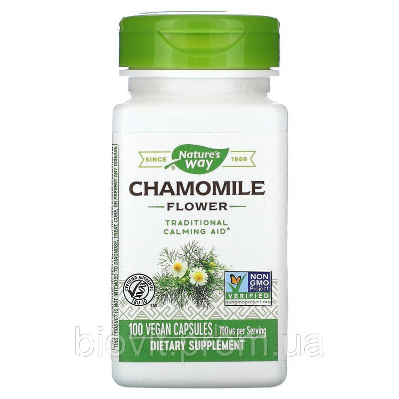 Квітки ромашки (Chamomile), фото 1