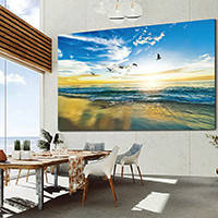 ПРОФЕСІЙНІ ДИСПЛЕЇ