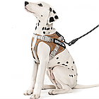 Шлейка для собак, шия 29-36 см, груди 41-49 см, B40707Q9 X25 / Регульована шлейка для домашніх улюбленців, фото 3