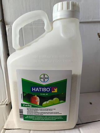 Фунгіцид Натіво 75 WG BAYER, 2 кг., фото 2