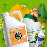 Інсектициди