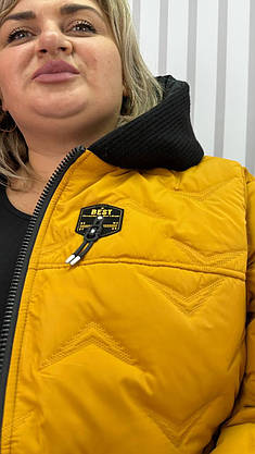 Демісезонна курточка вільного крою "Вінтер" (плащівка+синтепон) 66-68 70-72 74-76, фото 3