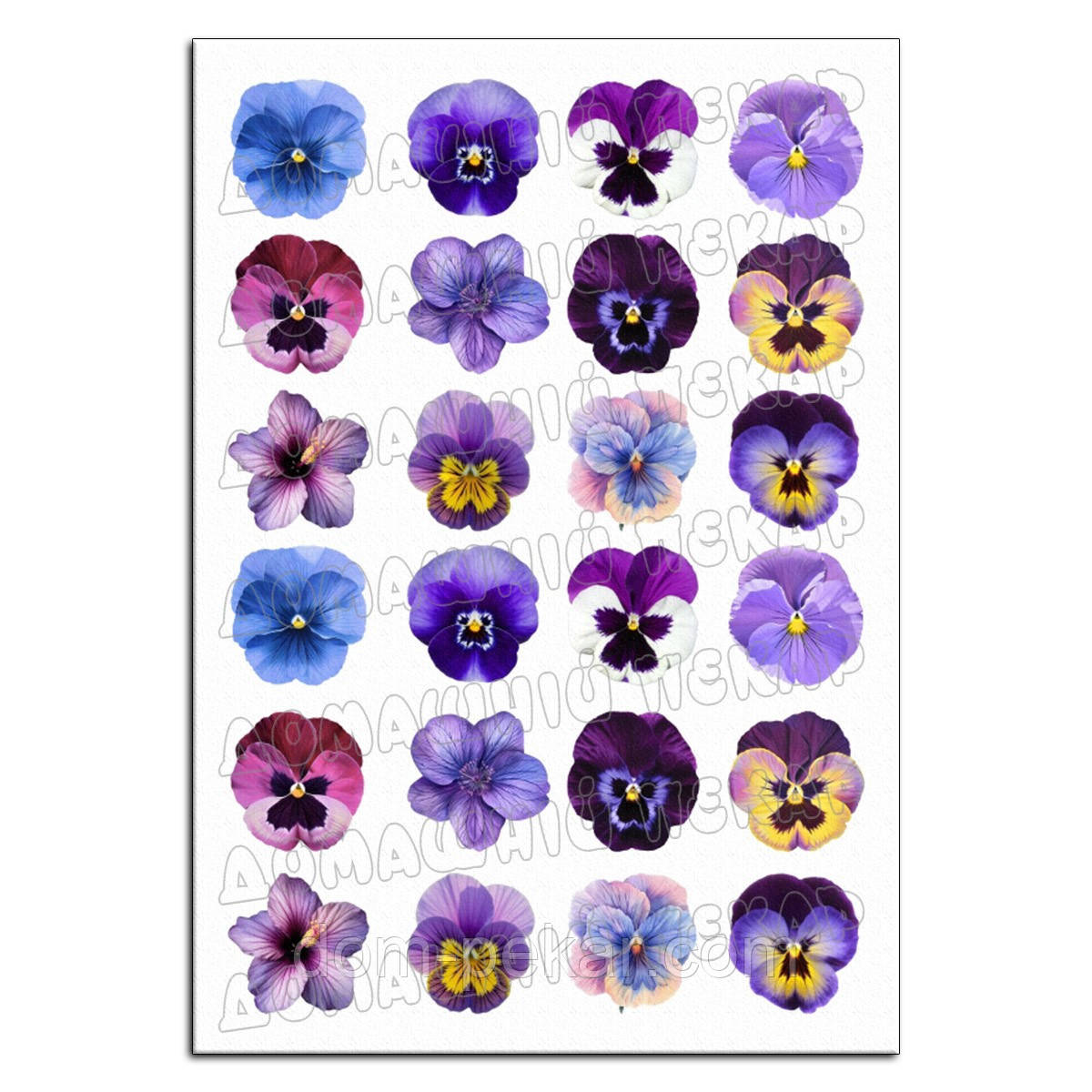 Квіти Фіалки 4 см 24 шт вафельна картинка