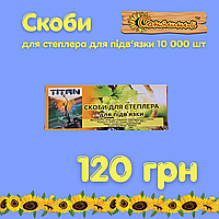 Скоби для тапенера (садовий степлер для підв'язки), 10 000 шт (тип 604 / 604C)