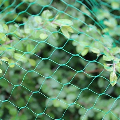 Сітка для огірків, винограду, гороху, 7 г/м², 5х5м