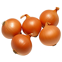 Цибуля сівок ШТУР ВС-20 (Broer) Нідерланди