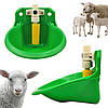 Поїлка чашкова автоматична для овець і кіз, фото 4
