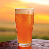 Сироп для Коктейлів Манго 600 г, фото 2