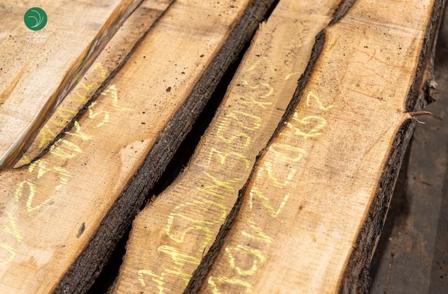 дошка суха необрізна липа