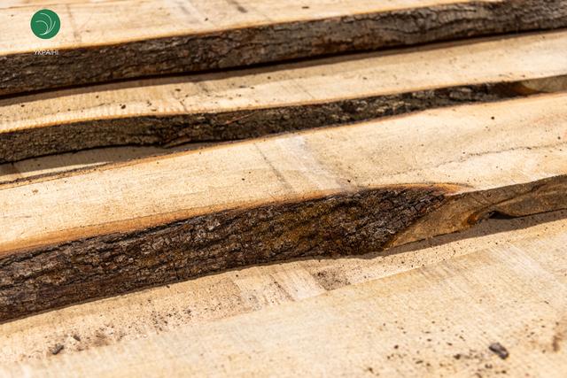 купити дошку необрізну липа