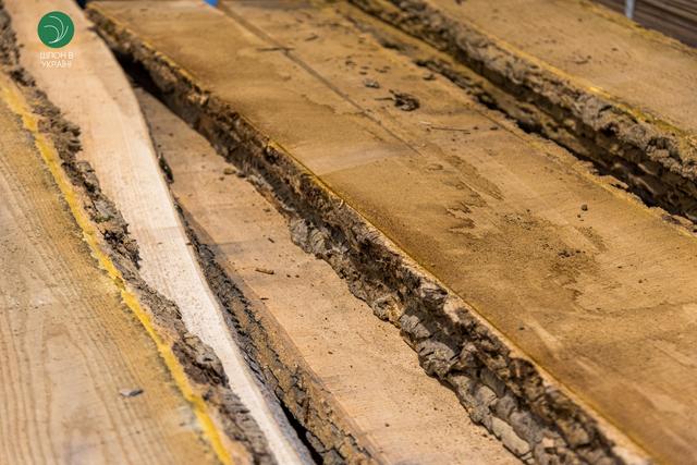 необрізна дошка амурський оксамит купити