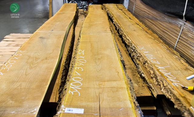 суха дошка амурський оксамит