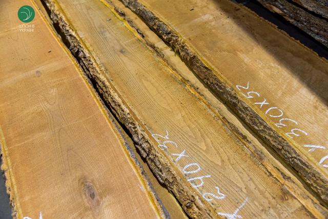 дошка необрізна коркове дерево 50 мм