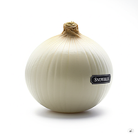 Цибуля сівок Сноубол (Гледстоун) (Broer) Нідерланди