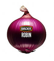 Цибуля сівок Робін (Електрік) (Broer) Нідерланди