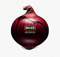 Цибуля сівок Ред Барон (Broer) Нідерланди