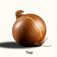 Цибуля сівок Трой (Broer) Нідерланди. Прямі постачальники! ОРИГІНАЛ!