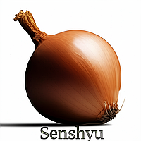 Цибуля сівок Сеншуй (Broer) Нідерланди