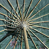 Парасолька для фотосесій зелена з китицями | китайська традиційна парасолька Свіжість, фото 3