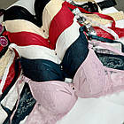 Жіночі бюстгальтери 73300 D Biweier, фото 3