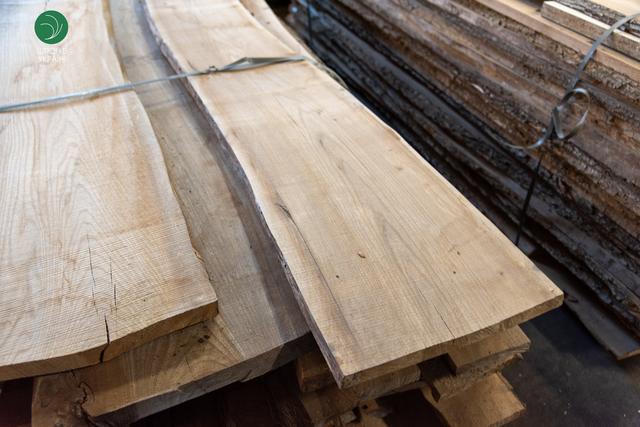 дошка суха берест