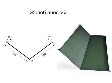 Жолоб плоский (Єндова)
