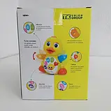 Іграшка "Каченя" Group, світло, звук, колеса вільного ходу, рухомі крильця, у коробці (ТК 808 TK), фото 8