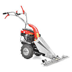 Бензинова сеньйосарка HECHT 587