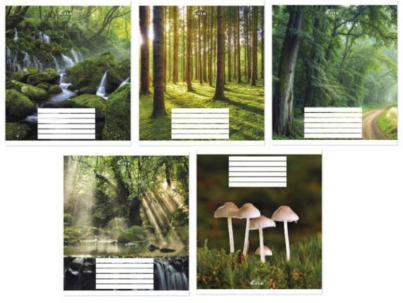 Зошит 24 арк. клітинка "Brisk GOLD" ЛАК / Зачарований ліс, фото 1