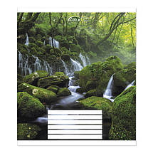 Зошит 24 арк. клітинка "Brisk GOLD" ЛАК / Зачарований ліс, фото 3