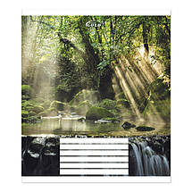 Зошит 24 арк. клітинка "Brisk GOLD" ЛАК / Зачарований ліс, фото 5