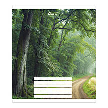 Зошит 24 арк. клітинка "Brisk GOLD" ЛАК / Зачарований ліс, фото 4