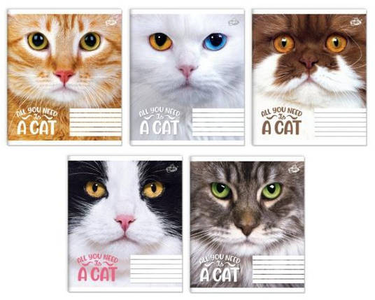 Зошит 36 арк. клітинка "Бріск" / Погляд кота, фото 1