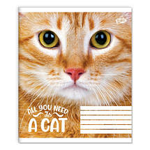 Зошит 36 арк. клітинка "Бріск" / Погляд кота, фото 4