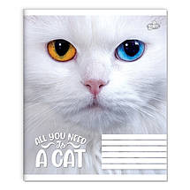 Зошит 36 арк. клітинка "Бріск" / Погляд кота, фото 3