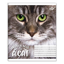 Зошит 36 арк. клітинка "Бріск" / Погляд кота, фото 2