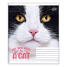 Зошит 36 арк. клітинка "Бріск" / Погляд кота, фото 5