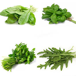 Насіння трав