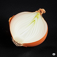 Цибуля сівок Стурон (Болеро) (Broer) Нідерланди