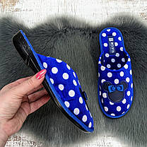 Тапочки жіночі домашні Белста сині в горошок із закритим носком 2351-2, фото 3