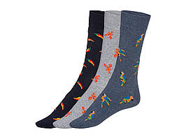 Шкарпетки молодіжні Livergy, 3 пари, розмір 39-42, колір синій, сірий