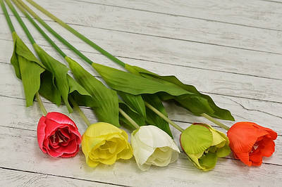 Поодинокі квіти