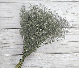 Сухоцвіт гіпсофіла метельчаста мілка. 7-10 гілочок