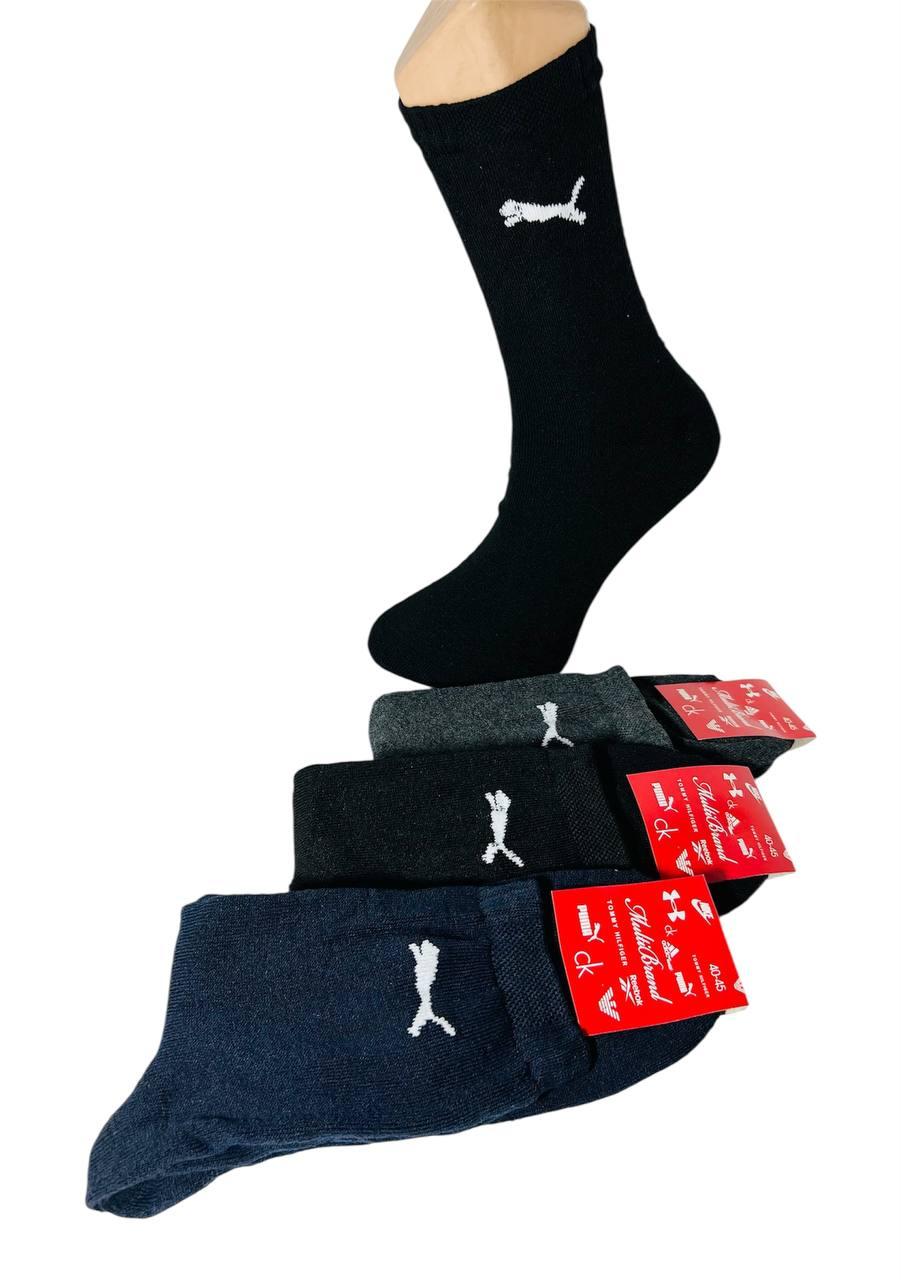 Шкарпетки чоловічі 12 пар зимові махрові бавовна Puma розмір 40-45 мікс кольорів