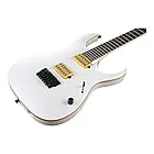 Електрогітара IBANEZ JBM10FX PWM, фото 2