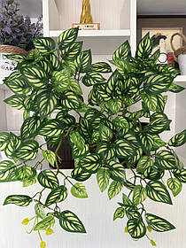 Маранта декоративна (штучна ампельна рослина)
